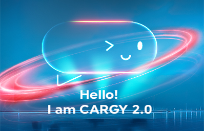 Turkish Airlines Logo