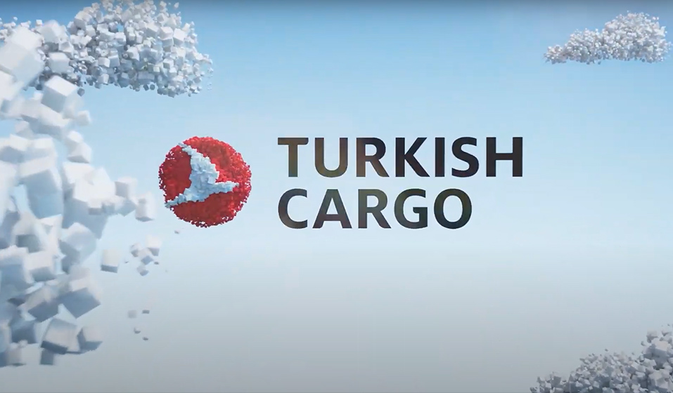 Turkish Cargo I Müşteri İletişim Kiti - Özel Kargolar